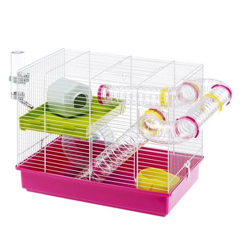 Laura Knaagdier Kooi