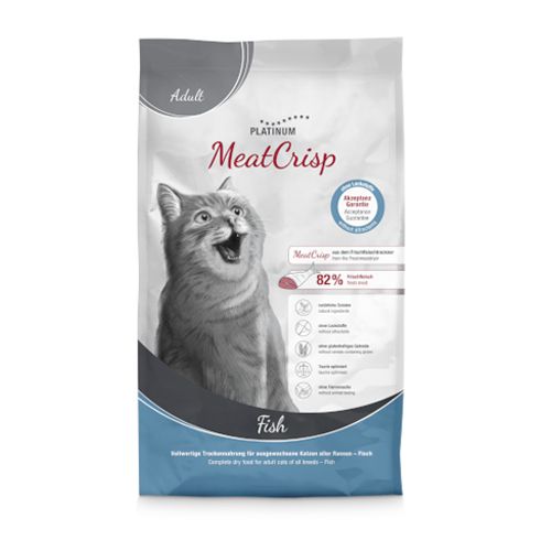 Platinum Cat Adult Fish