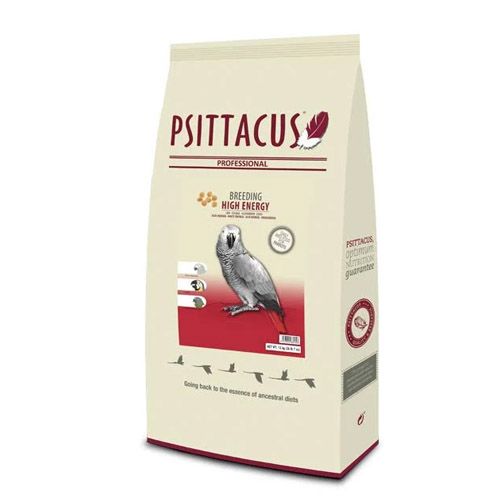 Psittacus Breeding High Energy