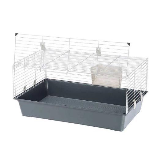 Konijn El Grijs Knaagdier Kooi